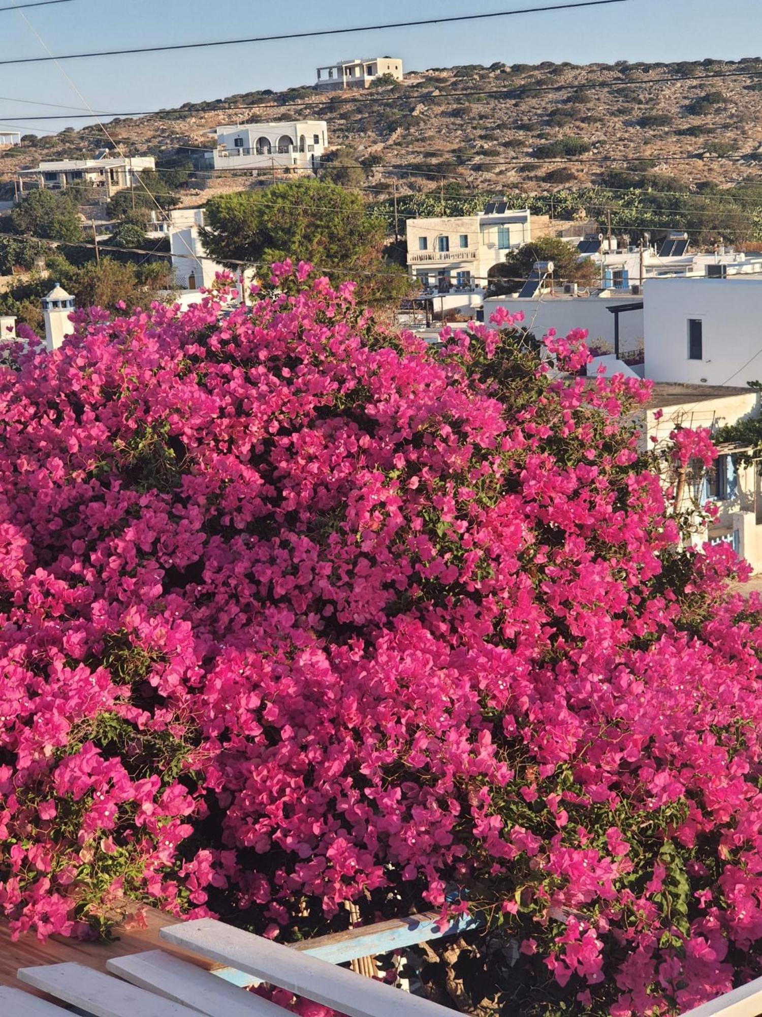 Maistrali Irakleia (Naxos) Quarto foto